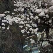 ヒメ日記 2026/03/08 20:33 投稿 朝日奈(あさひな) 人妻城 横浜本店