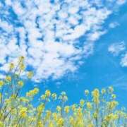 ヒメ日記 2026/03/31 14:18 投稿 浮海める 全裸美女からのカゲキな誘惑