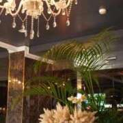 ヒメ日記 2026/03/01 11:27 投稿 まり 宮崎ちゃんこ中央通店