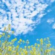 ヒメ日記 2026/03/31 14:22 投稿 なつ Charme（シャルム）