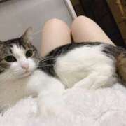 ヒメ日記 2026/03/05 16:39 投稿 こころ VIVIDCREWマダムセカンドバージン 梅田店