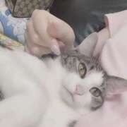 ヒメ日記 2026/03/06 16:23 投稿 こころ VIVIDCREWマダムセカンドバージン 梅田店