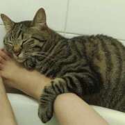 ヒメ日記 2026/04/14 16:32 投稿 こころ VIVIDCREWマダムセカンドバージン 梅田店