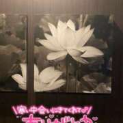 ヒメ日記 2026/03/02 05:54 投稿 胡蝶（こちょう） フュージョンスパ