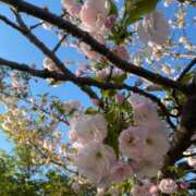 ヒメ日記 2026/04/12 21:07 投稿 胡蝶（こちょう） フュージョンスパ