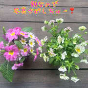 なつき おはよーん❣️ Hip's千葉駅前店