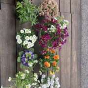 ヒメ日記 2026/03/29 23:52 投稿 なつき Hip's千葉駅前店