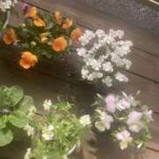 ヒメ日記 2026/03/30 10:22 投稿 なつき Hip's千葉駅前店