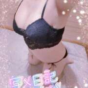 れいあ 出勤しました 人妻㊙︎倶楽部