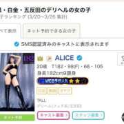 ヒメ日記 2026/03/31 10:29 投稿 ALICE TALL