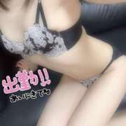 ヒメ日記 2026/05/20 08:50 投稿 ミマ バニーコレクション新潟店