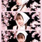 ヒメ日記 2026/04/02 23:52 投稿 藤堂しの LUXE(リュクス)