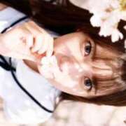 ヒメ日記 2026/04/03 10:13 投稿 藤堂しの LUXE(リュクス)