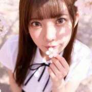 ヒメ日記 2026/04/15 08:13 投稿 藤堂しの LUXE(リュクス)