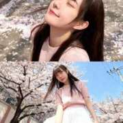 ヒメ日記 2026/04/16 12:03 投稿 藤堂しの LUXE(リュクス)