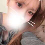 ヒメ日記 2026/02/22 11:20 投稿 しゅしゅ IRIS(岐阜)