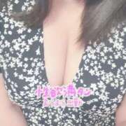 ヒメ日記 2026/02/22 18:11 投稿 せり ピーチハニー