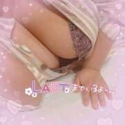 ヒメ日記 2026/03/04 15:01 投稿 せり ピーチハニー