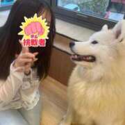 ヒメ日記 2026/05/24 19:25 投稿 ゆあな 舐めたくてグループ～君とサプライズ学園～越谷校