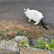 ヒメ日記 2026/03/26 20:20 投稿 ナノ◆SP可◆ Ageha(アゲハ)