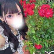 ヒメ日記 2026/05/21 21:15 投稿 めあ SEXIS-セクシーズ-