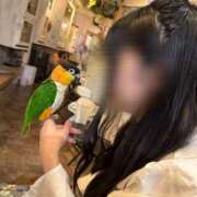 ヒメ日記 2026/03/10 05:51 投稿 ひなた ていくぷらいど.学園