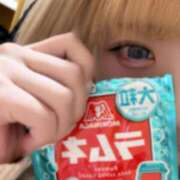 みにゃ ∩ -ω- )ᶻ 𝗓 𐰁 · .♥︎ 秋葉原ハンドメイド