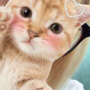 ヒメ日記 2026/04/17 11:33 投稿 みにゃ 秋葉原ハンドメイド