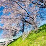 ヒメ日記 2026/04/20 21:04 投稿 体験　ゆい 素敵な女の子は好きですか？