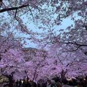 ヒメ日記 2026/03/17 10:01 投稿 佐山かおる 淫乱OL派遣商社 斉藤商事