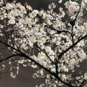 ヒメ日記 2026/04/01 10:51 投稿 佐山かおる 淫乱OL派遣商社 斉藤商事