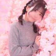 ヒメ日記 2026/03/07 14:01 投稿 せいら JAPAN CLUB BUNNY LOUNGE