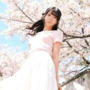 ヒメ日記 2026/04/06 22:31 投稿 せいら JAPAN CLUB BUNNY LOUNGE