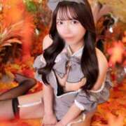 ヒメ日記 2026/04/12 15:51 投稿 せいら JAPAN CLUB BUNNY LOUNGE