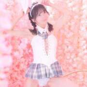 ヒメ日記 2026/04/13 23:39 投稿 せいら JAPAN CLUB BUNNY LOUNGE