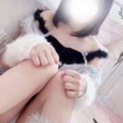 ヒメ日記 2026/03/03 08:07 投稿 琴葉/ことは Platinum Legend(プラチナムレジェンド)