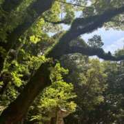 ヒメ日記 2026/03/10 19:00 投稿 みさき 逢って30秒で即尺