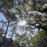 ヒメ日記 2026/03/27 20:30 投稿 みさき 逢って30秒で即尺