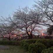 ヒメ日記 2026/03/30 19:30 投稿 みさき 逢って30秒で即尺