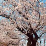 ヒメ日記 2026/04/03 22:00 投稿 まいか おいしい奥様
