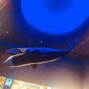 ヒメ日記 2026/04/22 21:15 投稿 まいか おいしい奥様