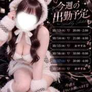 みな 🎀会える予定🎀 白いぽっちゃりさん五反田店
