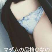 ヒメ日記 2026/03/27 10:01 投稿 ひなの マダムの品格