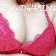 ヒメ日記 2026/05/11 14:44 投稿 ひなの マダムの品格