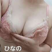 ヒメ日記 2026/06/08 13:36 投稿 ひなの マダムの品格