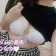 ヒメ日記 2026/08/14 20:13 投稿 ひなの マダムの品格