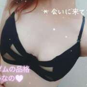 ヒメ日記 2026/08/18 10:52 投稿 ひなの マダムの品格