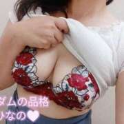 ヒメ日記 2026/10/21 11:07 投稿 ひなの マダムの品格