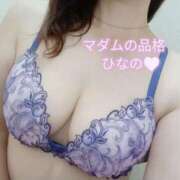ヒメ日記 2026/10/23 08:55 投稿 ひなの マダムの品格
