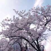 ヒメ日記 2026/03/27 17:20 投稿 みく 新橋たっち（シンデレラグループ）